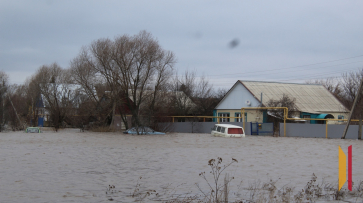 Для жителей затопленных участков Ольховатского района Воронежской области организовали ПВР
