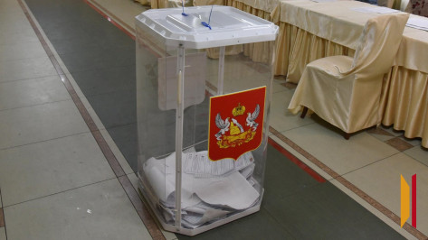 Госдума проголосовала за лишение Воронежской области одного избирательного округа