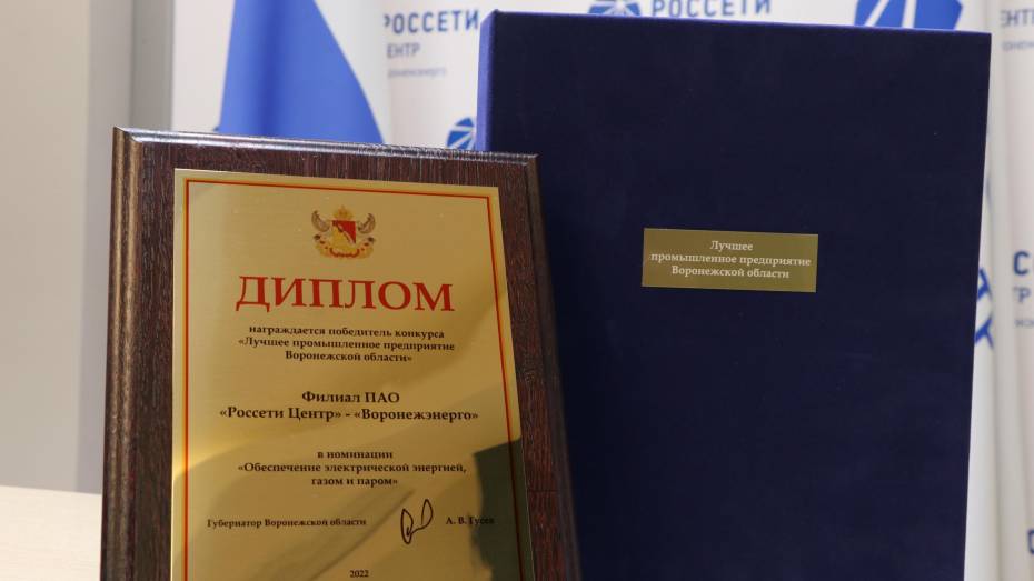 «Воронежэнерго» признано лучшим промышленным предприятием региона