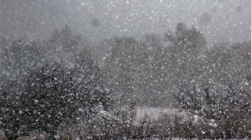 О возвращении метелей и снежных заносов предупредили воронежцев