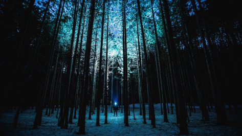 Мертвыми нашли в апреле шестерых пропавших в Воронежской области