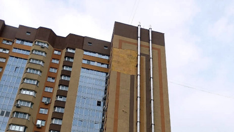 Соцсети: ветер сломал в Воронеже дерево и сорвал облицовку с 17-этажки