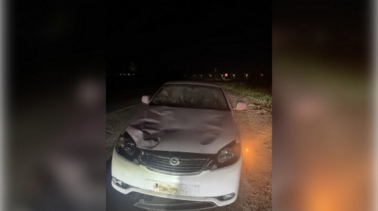 Под Воронежем автомобиль Daewoo насмерть сбил стоявшего на проезжей части пешехода