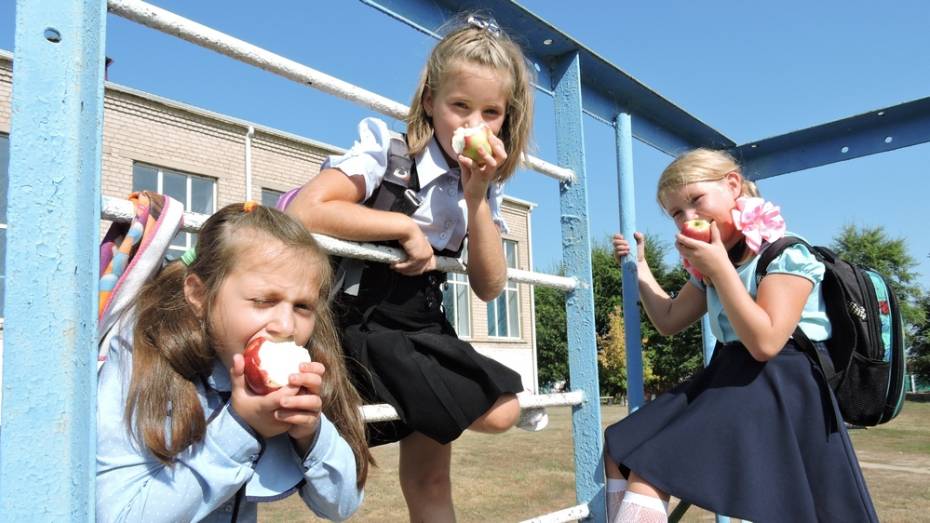Кантемировские школьники бесплатно получат мед и яблоки