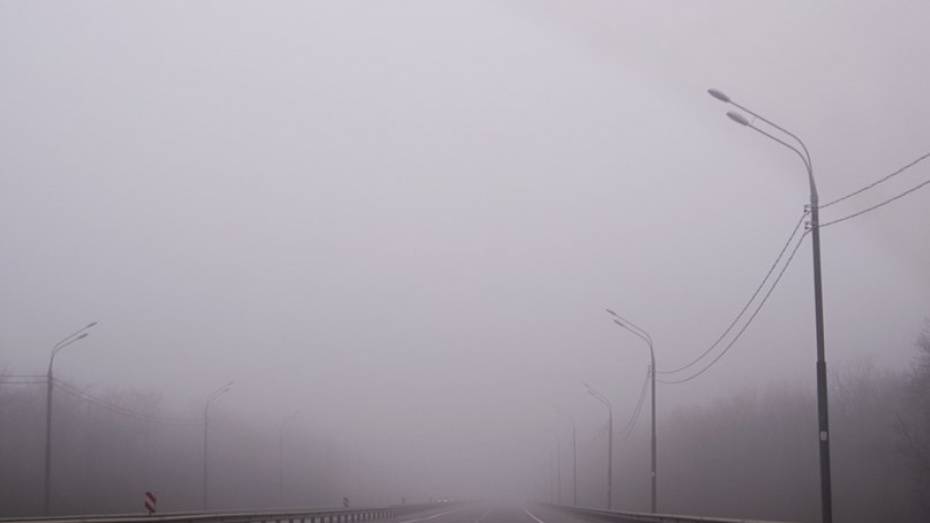 В Воронежской области объявили желтый уровень погодной опасности из-за тумана