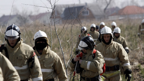 Правительство Воронежской области обратится в МЧС России для увеличения численности пожарных