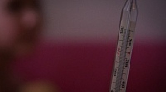 Почти 6,5 тысяч жителей Воронежской области за неделю подхватили грипп и ОРВИ 