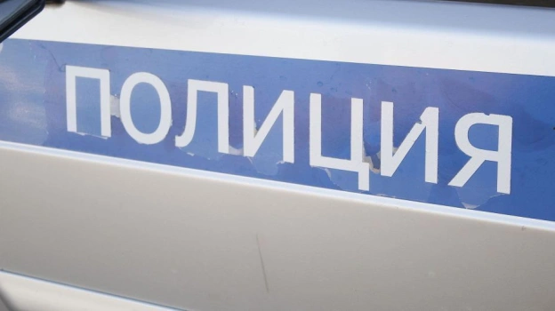 Под Воронежем 54-летняя женщина погибла под колесами Skoda Rapid