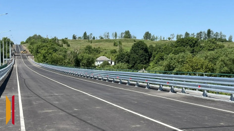 Под Воронежем после ремонта открыли мост через реку Ведуга
