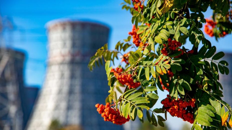 Нововоронежская АЭС перевыполнила план октября по выработке электроэнергии