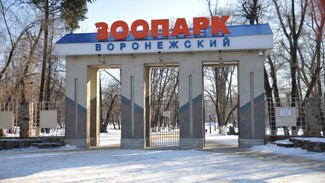 В Воронеже после птичьего гриппа закрыли парк Авиастроителей