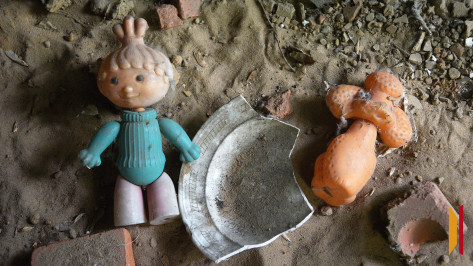 Педофил из Воронежской области выманил у несовершеннолетней девочки 30 интимных фото