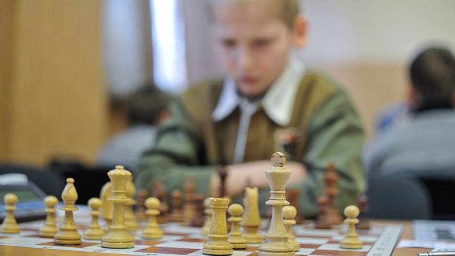 Победитель и призеры Master open на шахматном фестивале в Воронеже получат 1,5 млн рублей