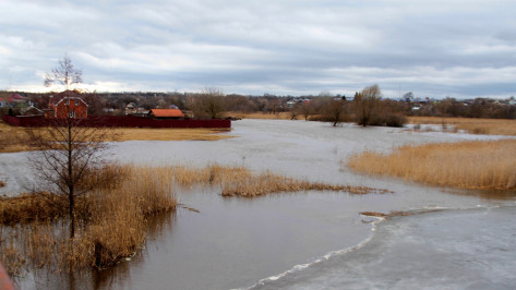 Из-за паводка в Воронежской области затопило 11 низководных мостов