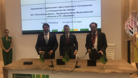 В Воронежской области построят 2 животноводческих комплекса на 5,6 тыс голов