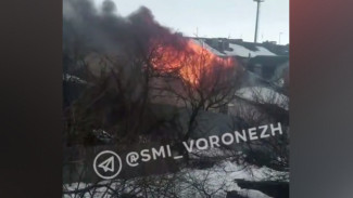 Под Воронежем горит частный дом: видео