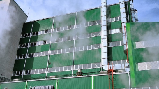 Евдаковский МЖК в Воронежской области заработает без собственника