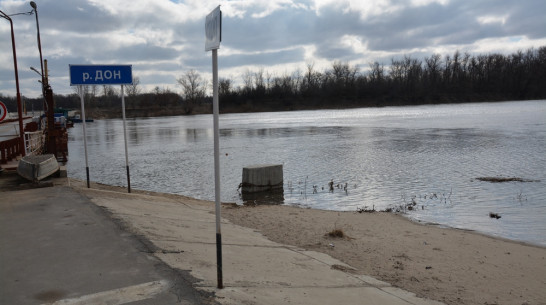 В Россошанском районе уровень воды в Дону ежедневно поднимается на 30 сантиметров 