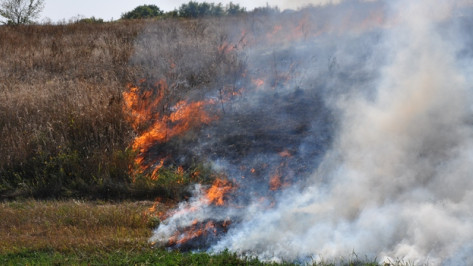 В Павловском районе за сутки произошел пожар и несколько травяных палов