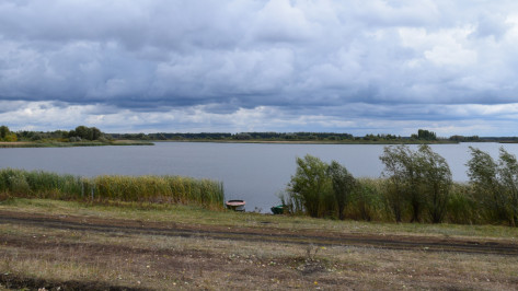 Нетихий омут. Как жители Воронежской области не отдали федеральный пруд под рыбхоз