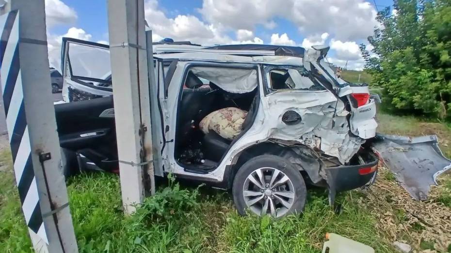 В Воронежской области Geely врезался в грузовик Shacman: погибла женщина, пострадали 2 девочки