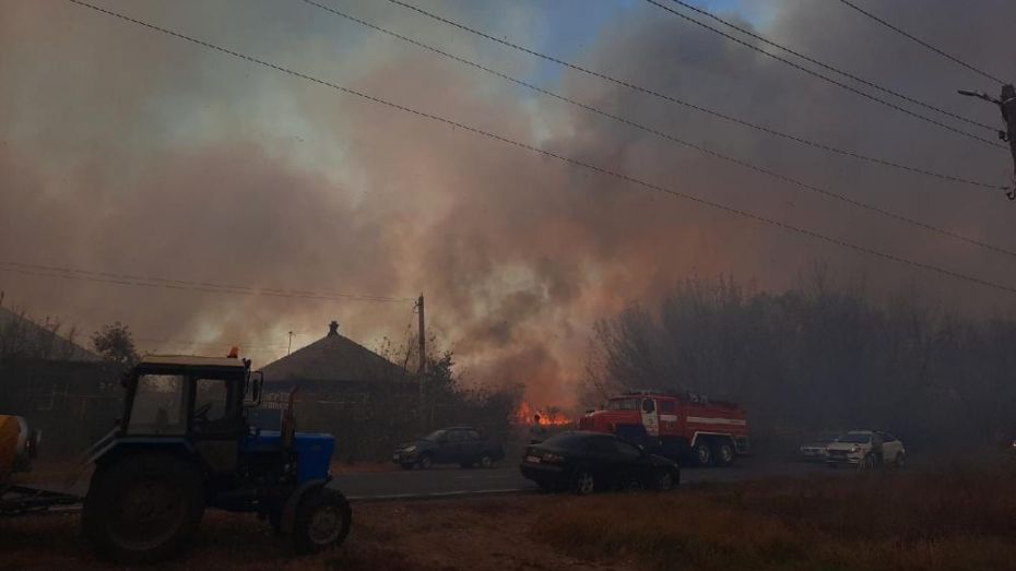Дым от горящего камыша окутал райцентр Воронежской области
