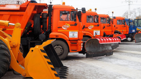 Коммунальщики Воронежа подготовились к снегопадам