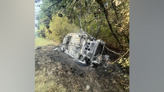 На воронежской трассе автомобиль Peugeot после массового ДТП вылетел в кювет и загорелся
