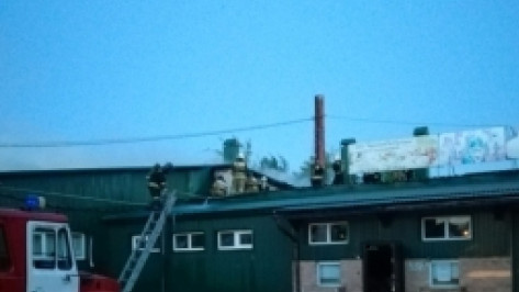 Пожар в Советском районе Воронежа потушили за 4 часа