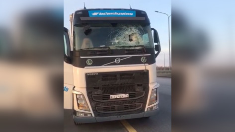Коптер пробил насквозь стекло грузовика на трассе в Воронежской области