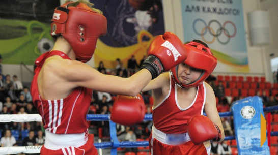 В Богучаре в День города состоится турнир по боксу