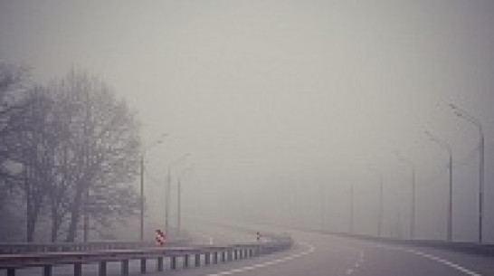 Из-за тумана в Воронеже парализована работа аэропорта