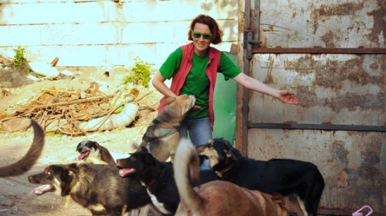 Анна Воронина: «Догхантеров в Воронеже надо опасаться всегда»