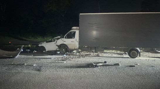 На трассе в Воронежской области грузовик раздавил легковушку с людьми