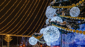 В Воронеже на площади Ленина зажгли новогоднюю ель