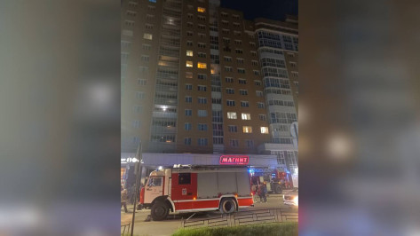 Пожарные спасли 4 детей из горящей квартиры в центре Воронежа вечером 2 мая
