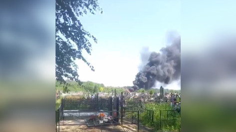 Сжигание венков на кладбище под Воронежем сняли на видео