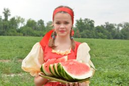 Арбузный фестиваль пройдет в Петропавловке 27 августа