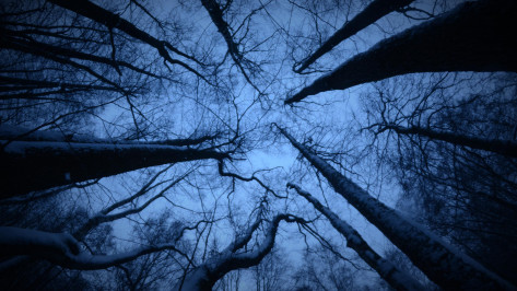 Пропавший 38-летний воронежец в темно-синей куртке найден мертвым