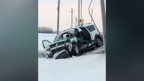 В Новой Усмани Воронежской области «Лада Ларгус» вылетела в снежный кювет