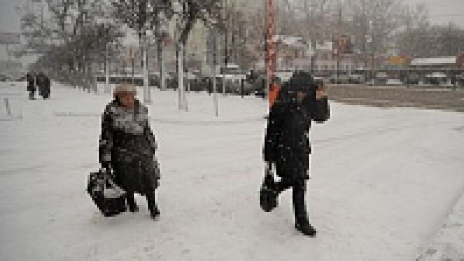 В Воронеже в день эстафеты олимпийского огня пройдет снег