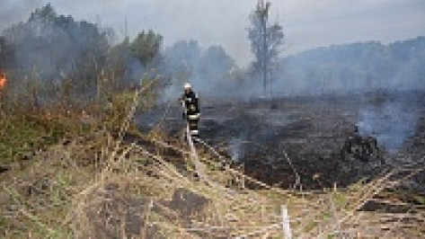 В Россошанском районе в пойме реки Сухая Россошь выгорела сухая трава на площади около пяти гектаров
