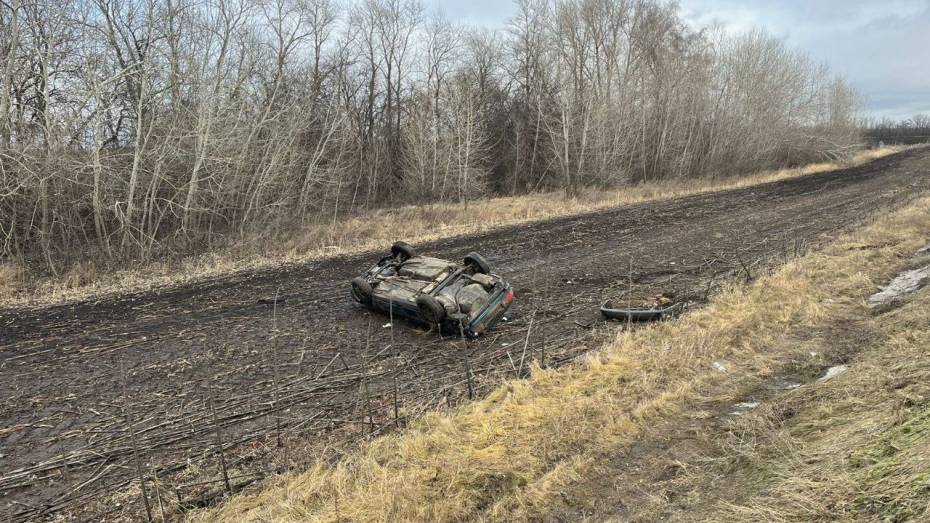 Audi вылетела в кювет в Воронежской области: пострадала 47-летняя автомобилистка