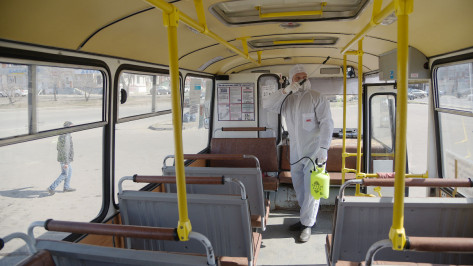 Студенты ВГТУ предложили «облучать» пассажиров автобусов для защиты от вирусов