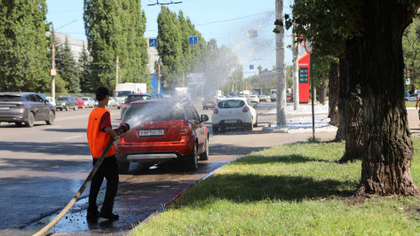 В Воронеже комбинаты благоустройства ухаживают за газонами в аномальную жару