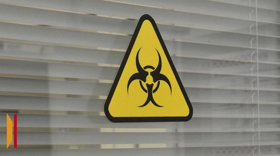 Воронежец торговал зараженным мясом и чуть не спровоцировал эпидемию сибирской язвы