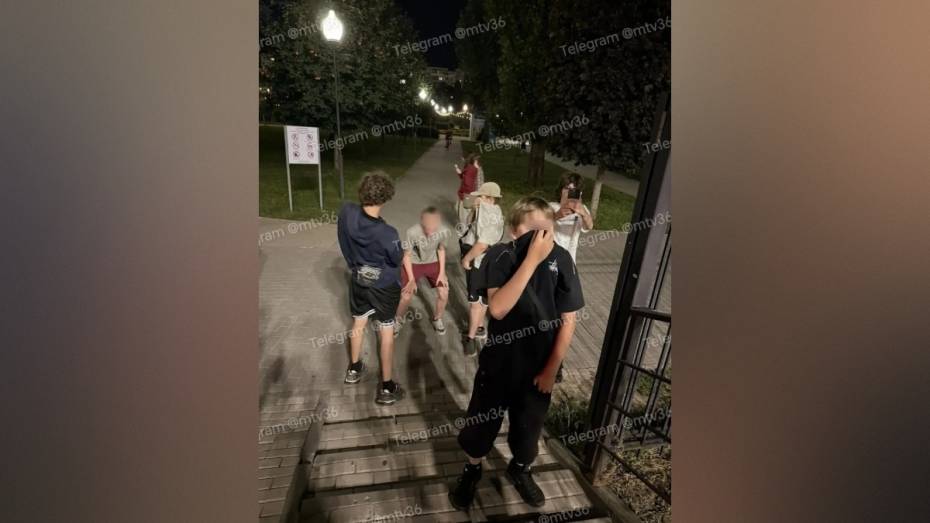 В Воронеже подростки попытались отобрать велосипед у мальчика и обматерили его родителей