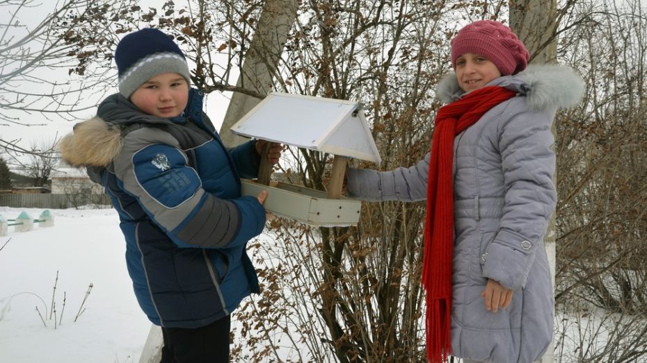 В Бутурлиновском районе стартовала акция «Покорми птиц зимой»