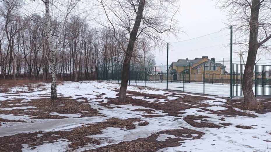 Детская площадка за 3 млн рублей появится в новоусманском Бабяково