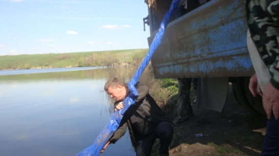 В Нижнедевицкий пруд запустили тонну мальков карпа и белого амура